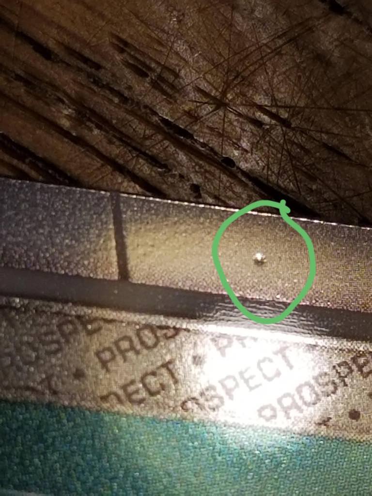 A dimple surface issue, which looks a bit like a Beebee shot (Reddit)